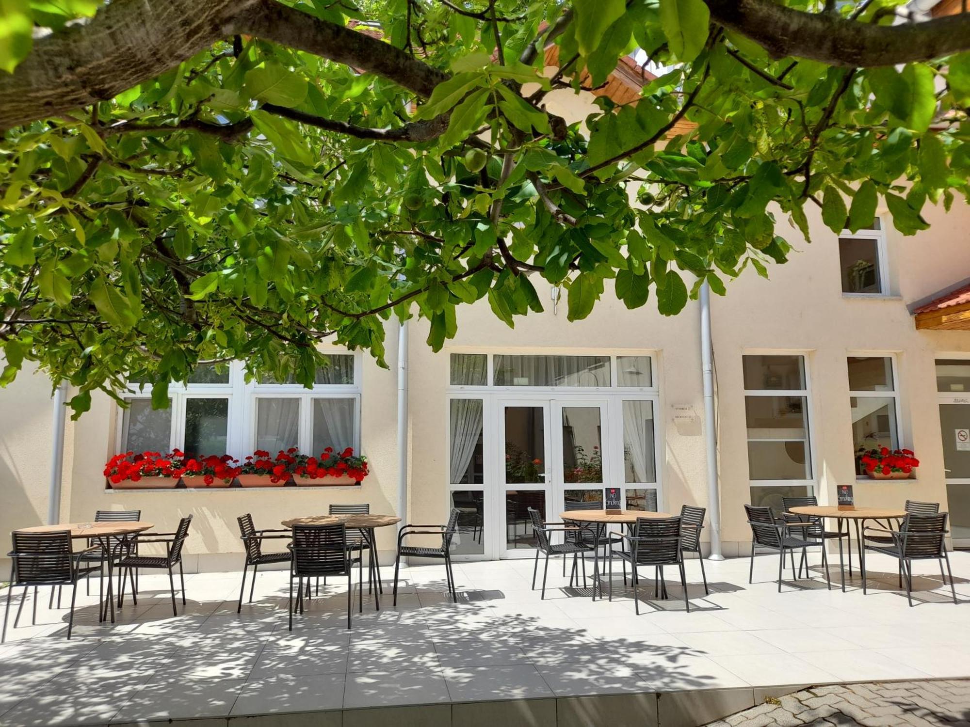 Hotel Platan Székesfehérvár المظهر الخارجي الصورة